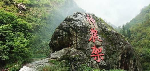 燃烧吧大脑免广告最新版
